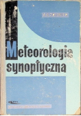Meteorologia synoptyczna