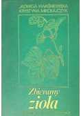 Zbieramy zioła