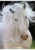 Konie Rasy, tradycje, obyczaje