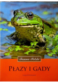 Płazy i gady