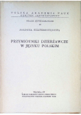Bierne czasowniki zaimkowe w języku polskim