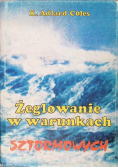 Żeglowanie  w warunkach sztormowych