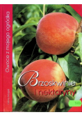 Brzoskwinie i nektaryny