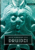 Druidzi