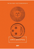 Dwukropek
