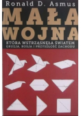 Mała Wojna