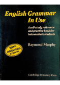 English Grammar in Use