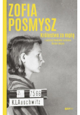 Królestwo za mgłą
