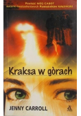 Kraksa w górach