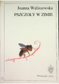 Pszczoły w zimie