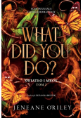 What Did You Do. Światło i mrok. Tom 2