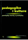 Pedagogika i kultura