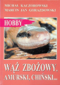 Wąż zbożowy amurski chiński