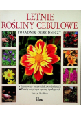 Letnie rośliny cebulowe