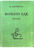 Rośliny łąk
