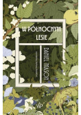 W północnym lesie