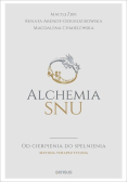 Alchemia snu. Od cierpienia do spełnienia