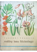 Rośliny lasu liściastego