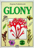 Glony