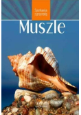 Spotkania z przyrodą Muszle