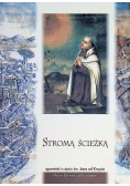 Stromą Ścieżką