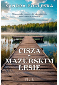 Cisza w mazurskim lesie