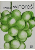 Winorośl