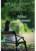 Miłość w kasztanie zaklęta