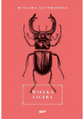 Wielka liczba
