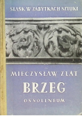 Śląsk w zabytkach sztuki Brzeg
