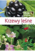 Krzewy leśne