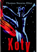 Koty