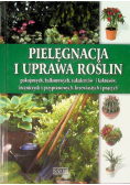 Pielęgnacja i uprawa roślin