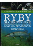 Ryby słodkowodne Atlas do oznaczania gatunków