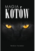 Magia kotów