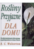 Rośliny przyjazne dla domu