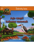 Sekrety lasu Jajo czapli Łakomy rosomak