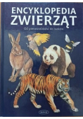Encyklopedia zwierząt Od pierwotniaków do ssaków
