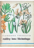 Rośliny lasu liściastego