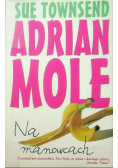 Adrian Mole Na manowcach