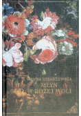 Młyn w Bożej woli