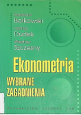Ekonometria Wybrane zagadnienia