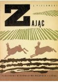 Zając
