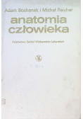 Anatomia człowieka Tom IV