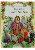 Dlaczego Sowy nie śpią