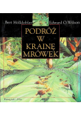 Podroż w krainie mrówek