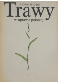 Trawy w uprawie polowej