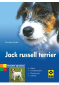 Jack Russell Terrier
