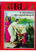 Biblia w obrazkach dla najmłodszych
