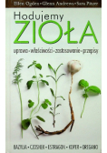 Hodujemy zioła